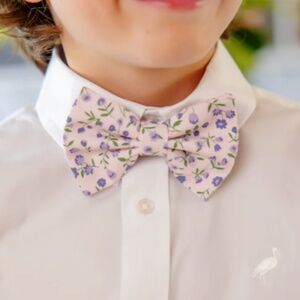 Baylor Bowtie Tuxedo Park Tulips